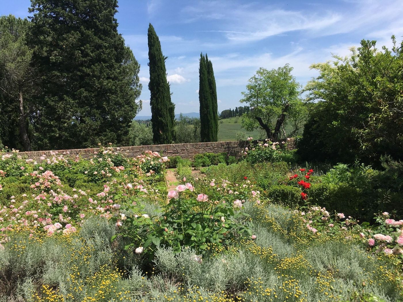 CA-Bianca-General-view-1