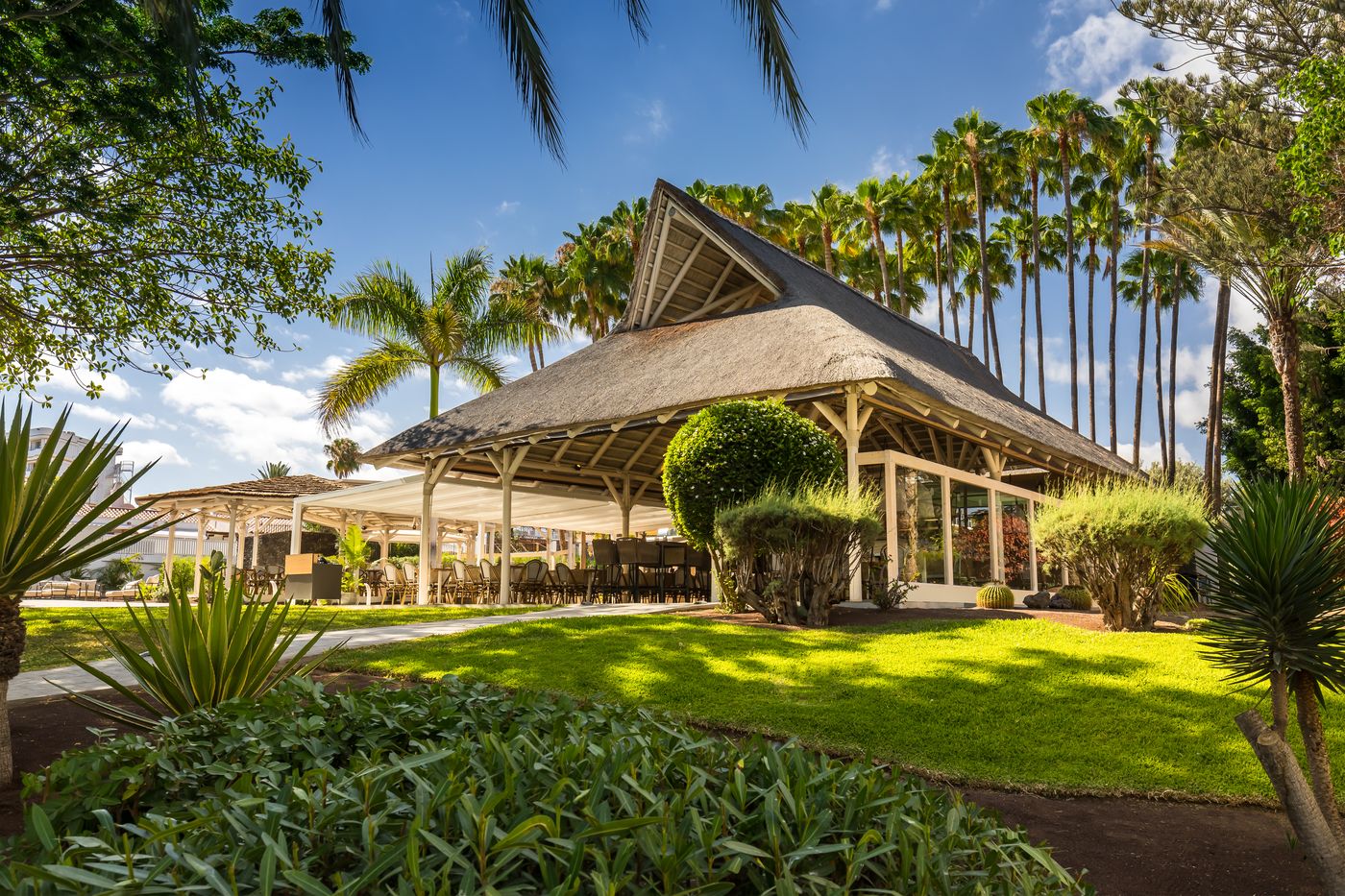 Barcelo Margaritas Royal Level