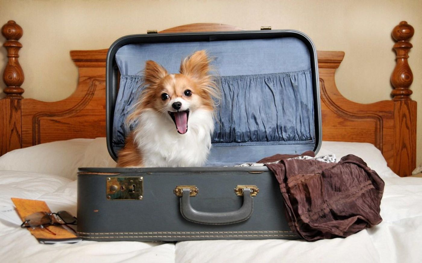 Grande-Albergo-Abruzzo-General-view-9