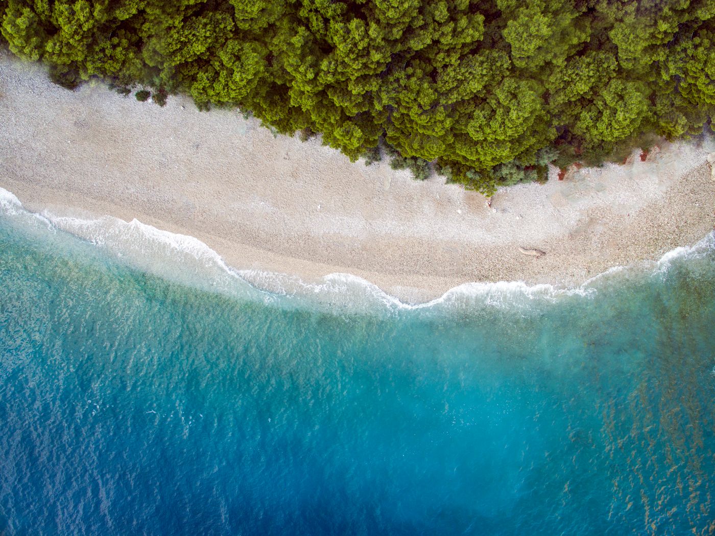 Bluesun-Holiday-Village-Afrodita-Beach-61