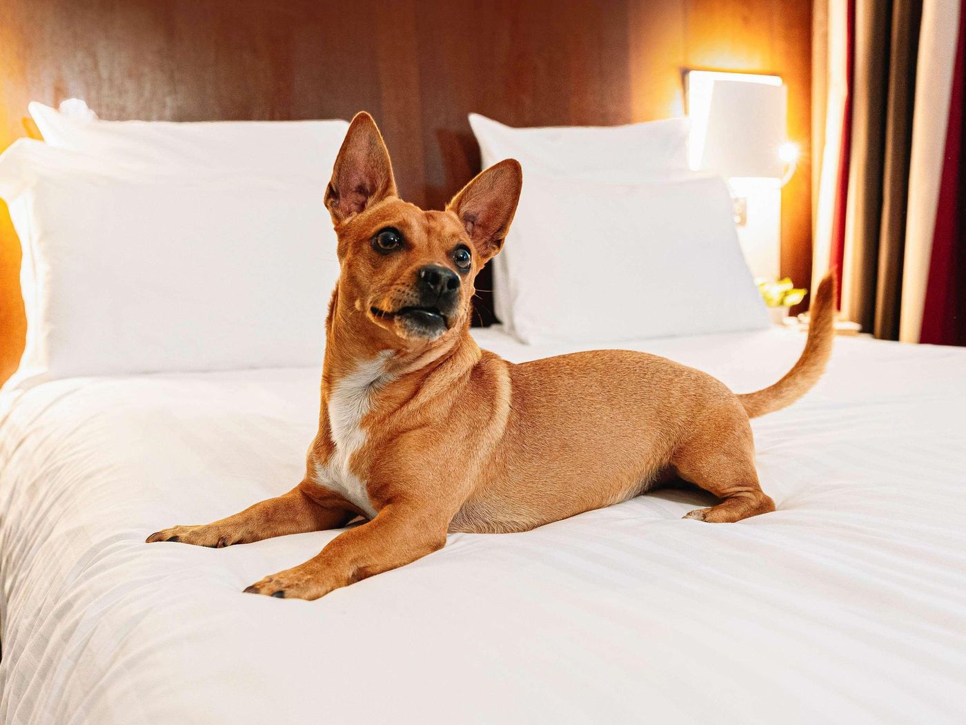 Mercure-Roma-Piazza-Bologna-Room-7