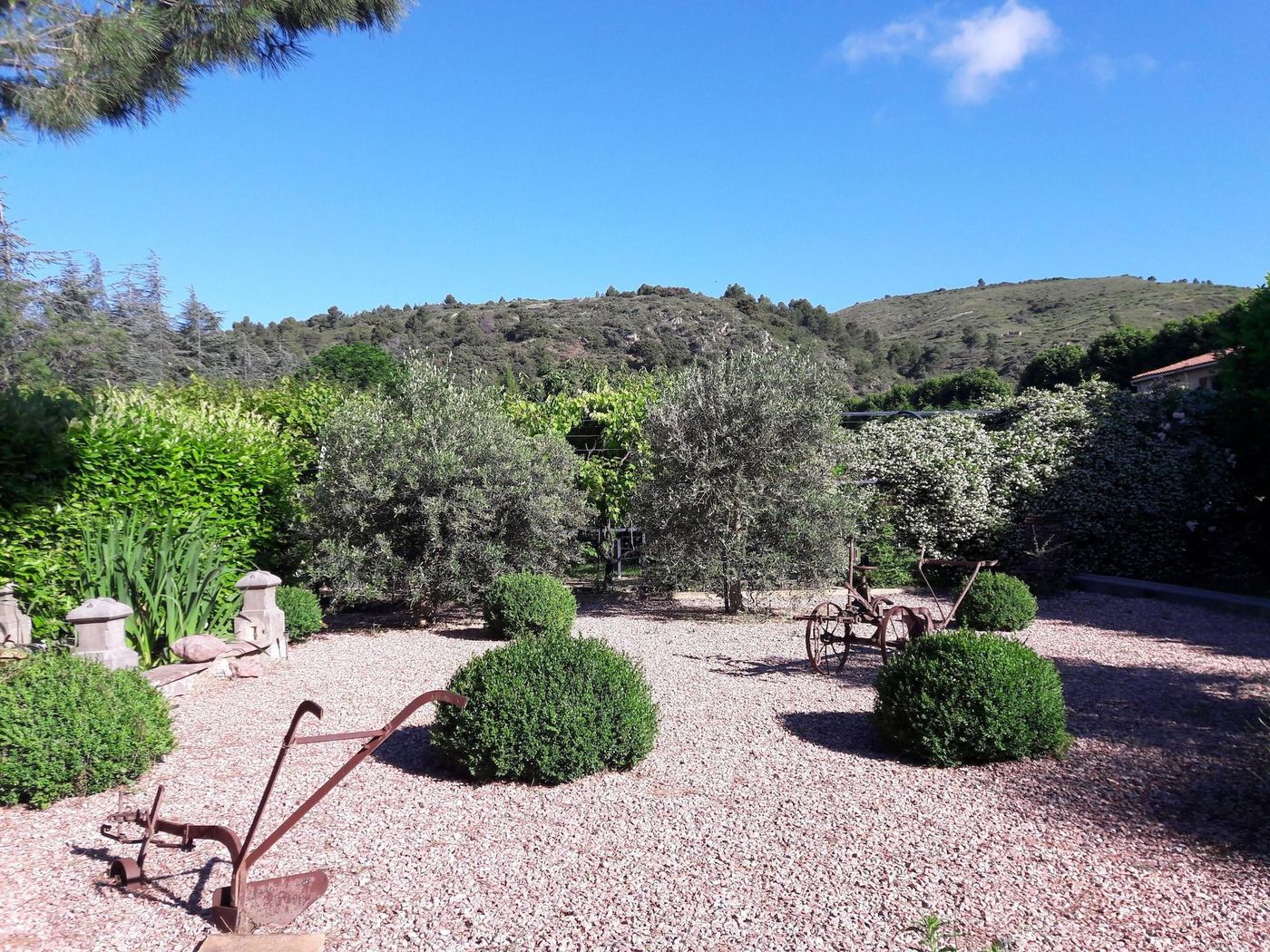Villa Angel-France-CAUNES-MINERVOIS-General view-5