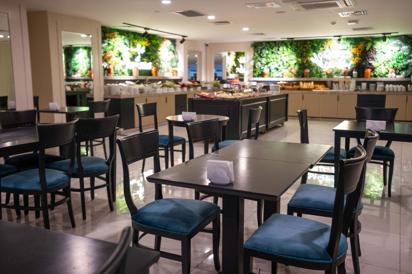 Lion-General-view-33