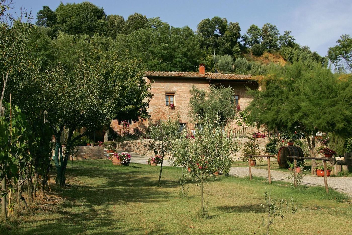 Podere-Il-Pero-General-view-5