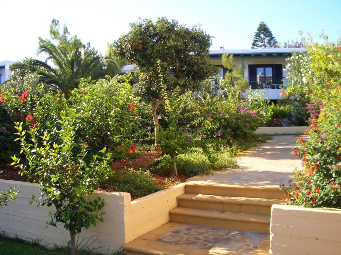 Suneo Club Chrissi Amoudia