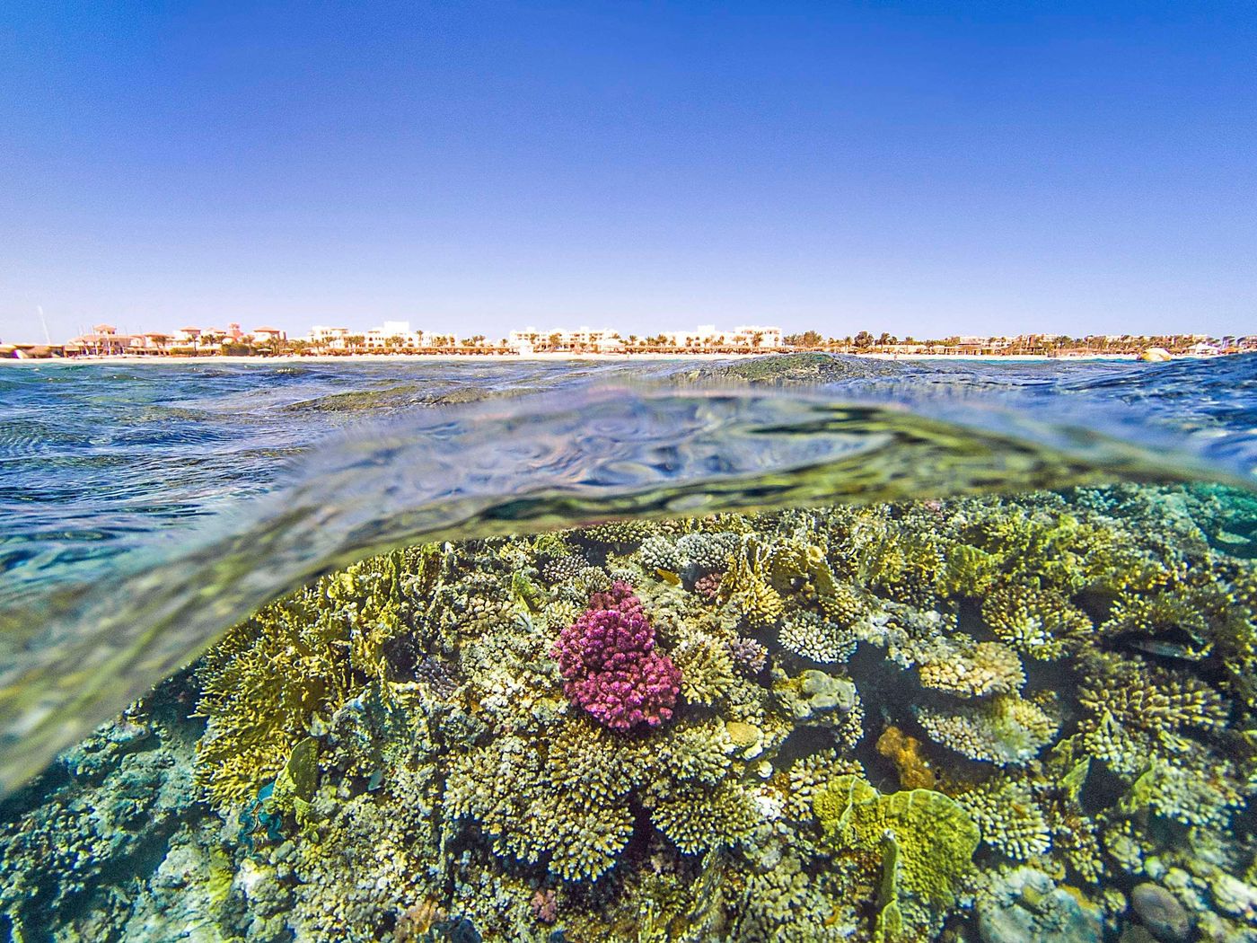 Kempinski-Hotel-Soma-Bay-Beach-96