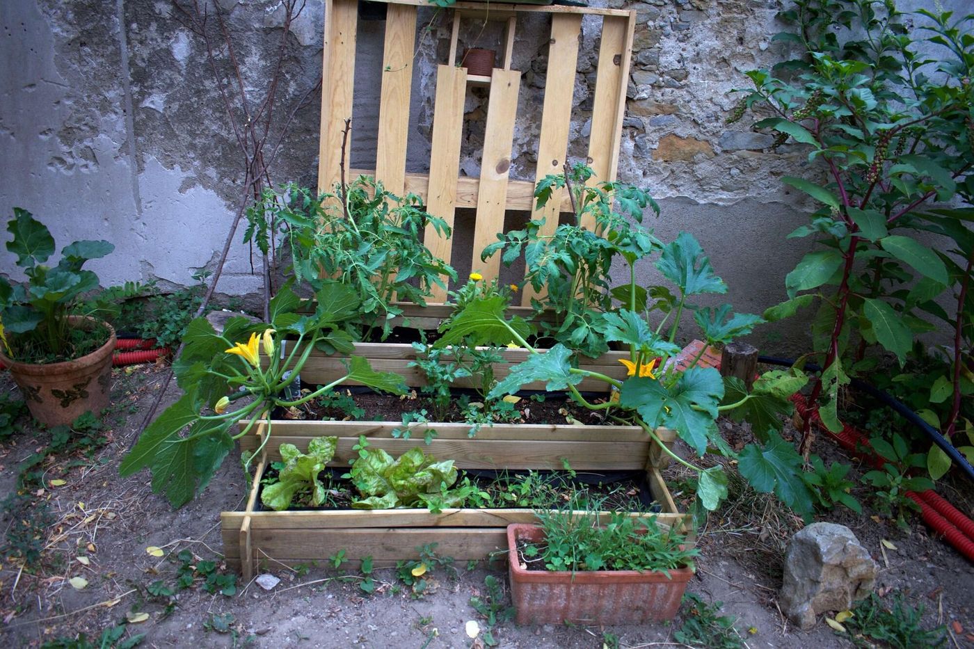 Art Home B&B-France-CARCASSONNE-General view-6