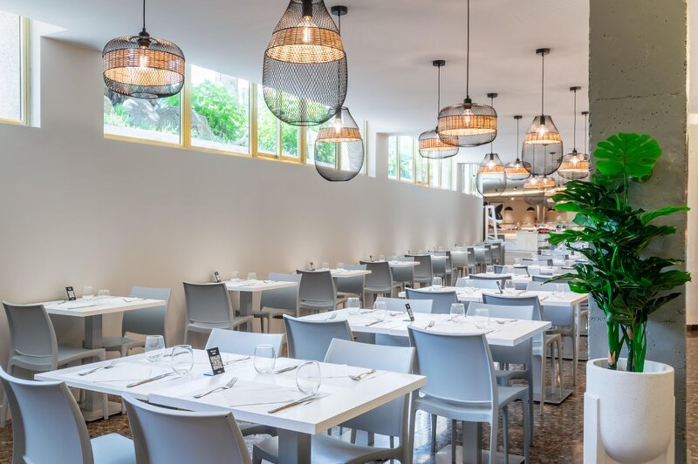 02.02.26 ALEGRIA El Mar