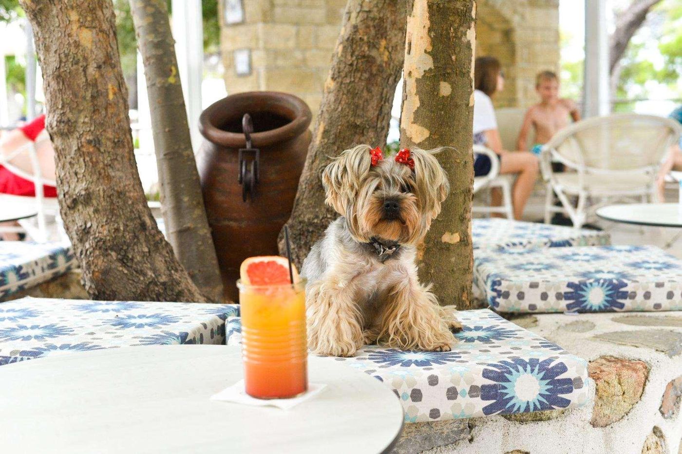 Elea-Village-Sports-and-Entertainment-26