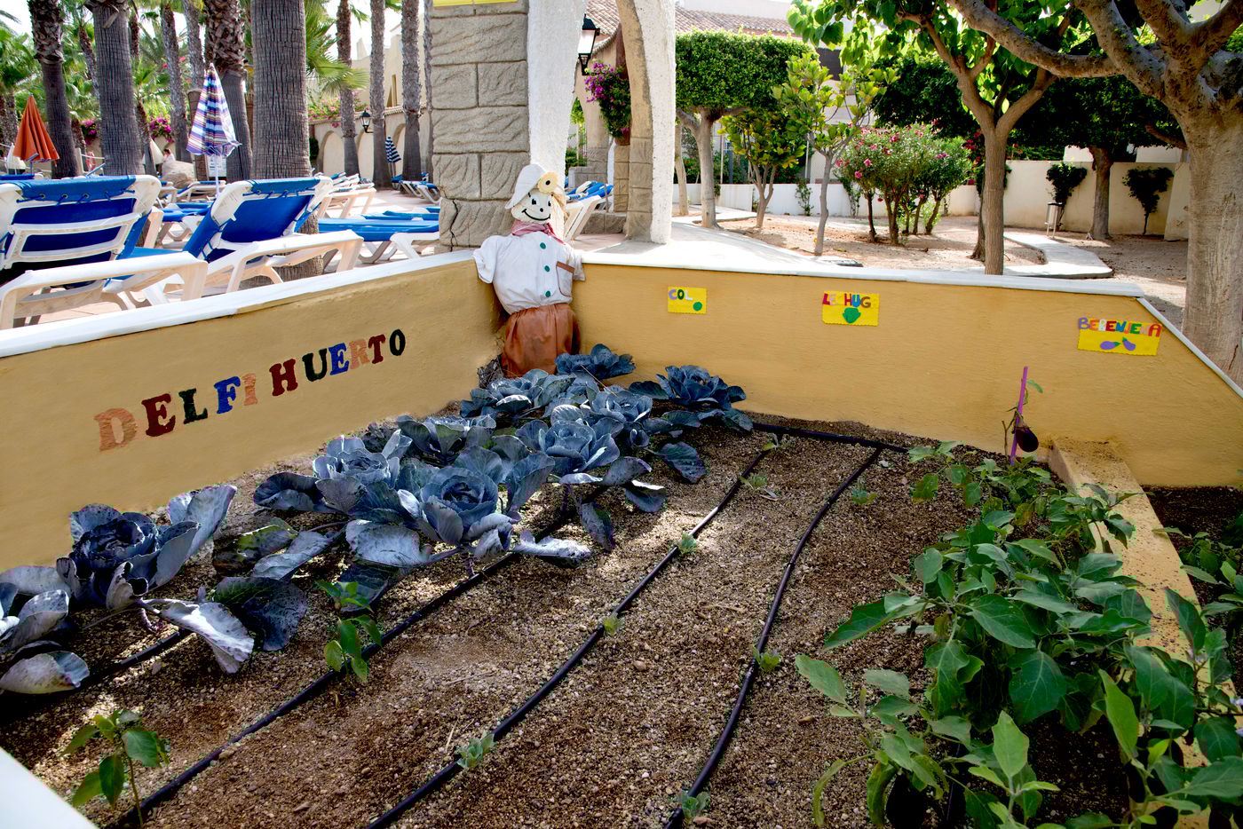 Spa-Playasol-Sports-and-Entertainment-14