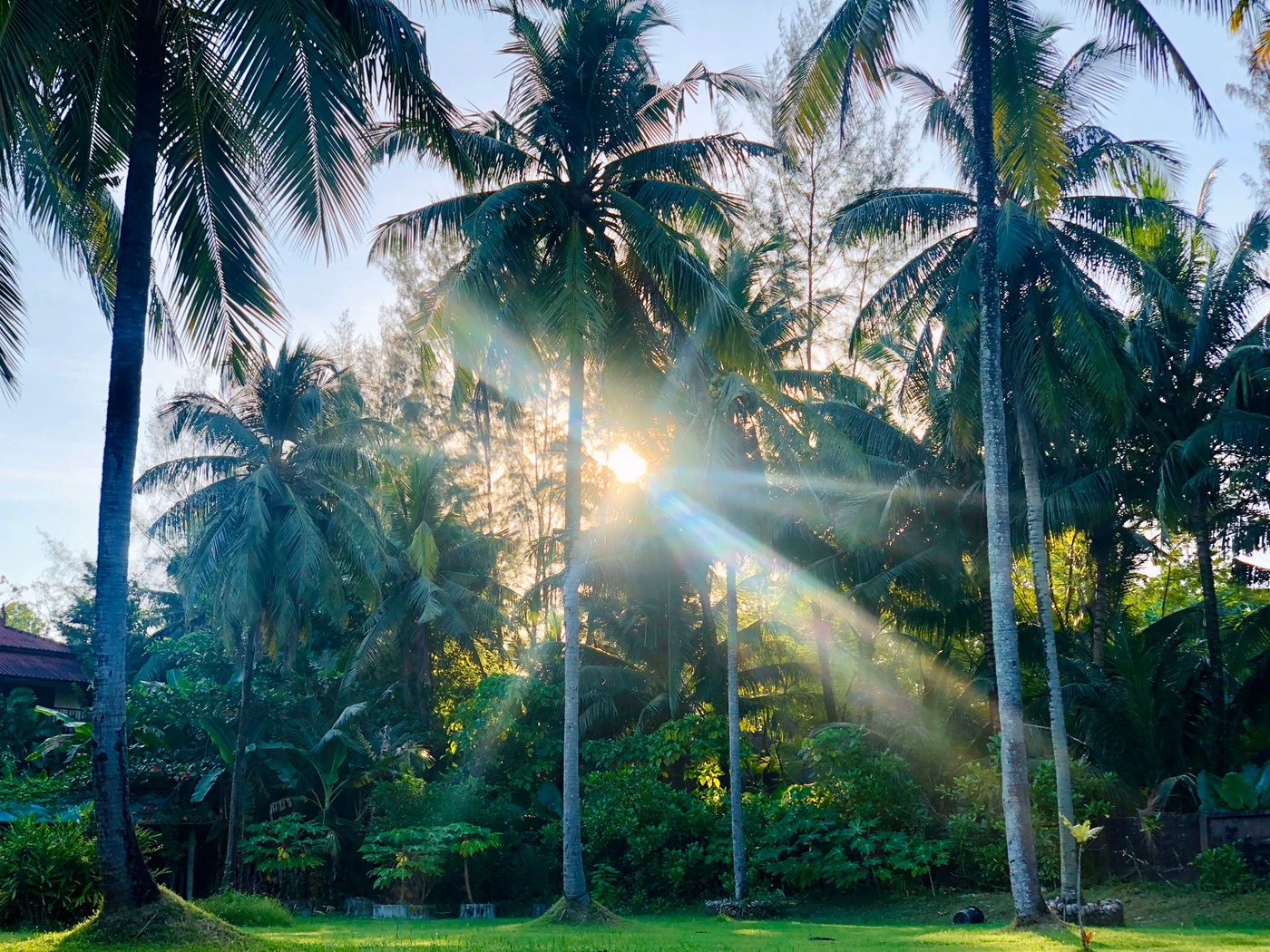 Palm Galleria Resort-SHA Plus-Thailand-KHAO LAK-General view-3