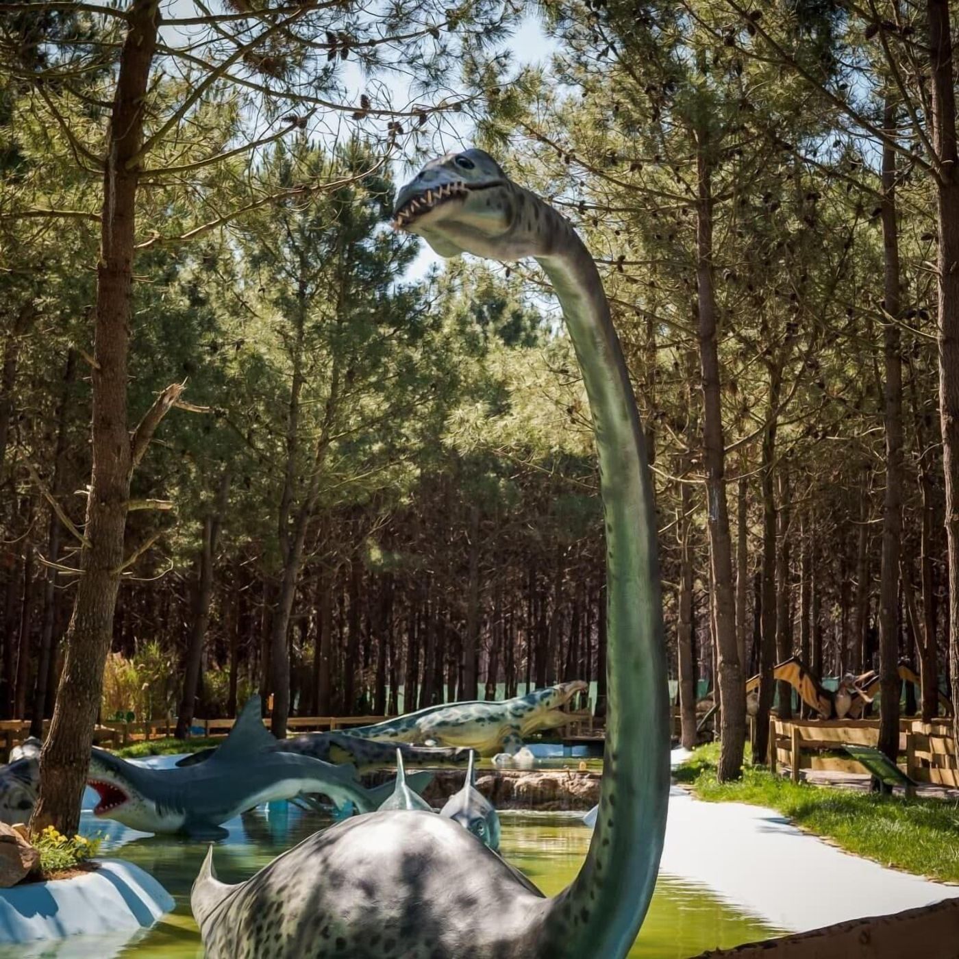 Hospedaria-Recome-ar-General-view-62