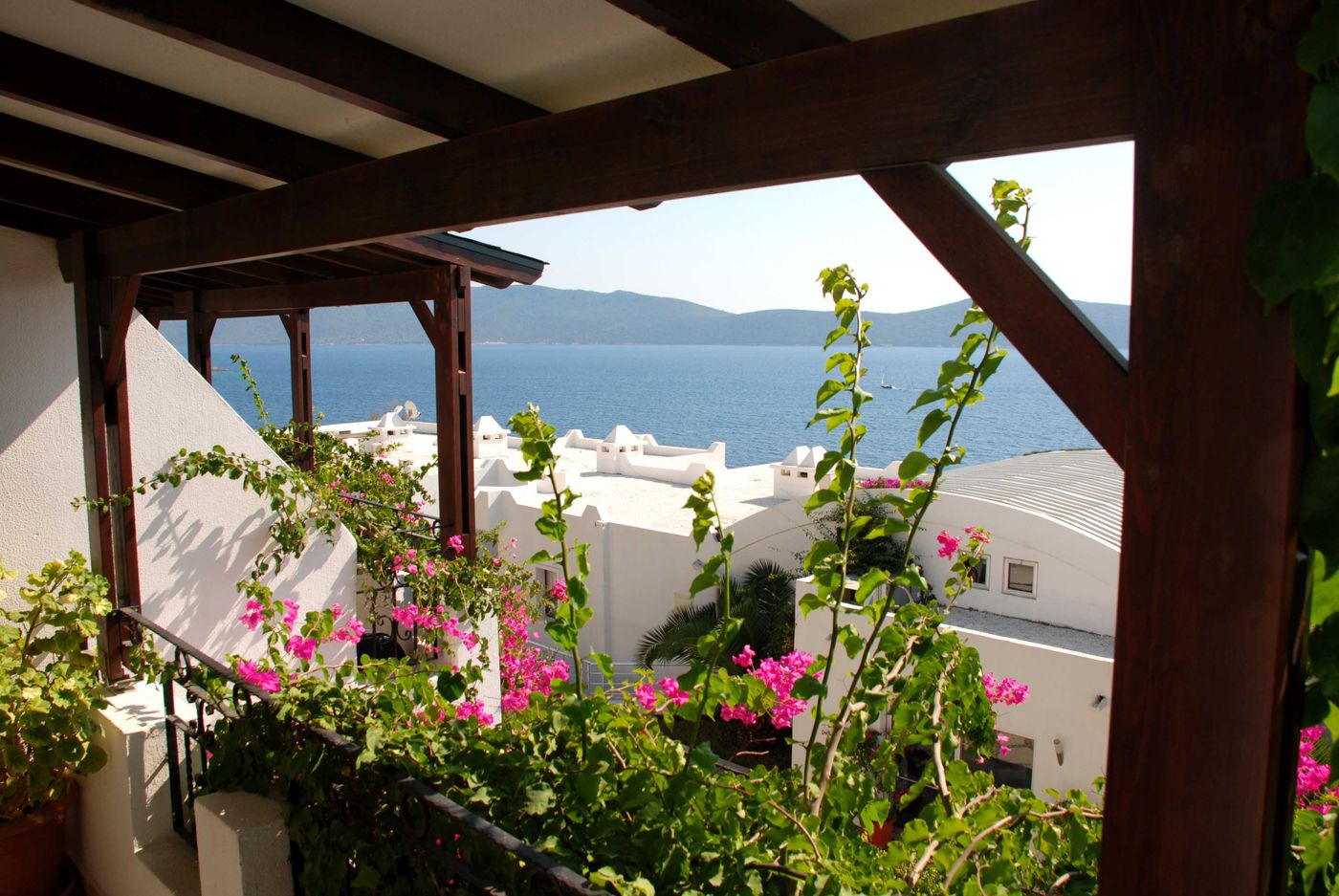 Forever Club - Adults Only