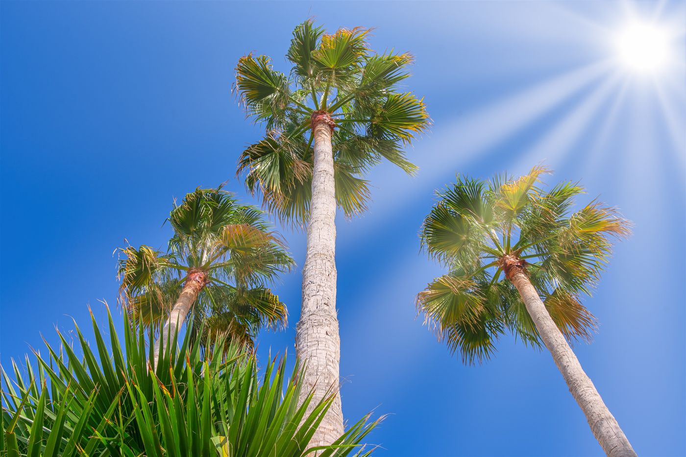 Nana-Angela-Apartments-Pool-54