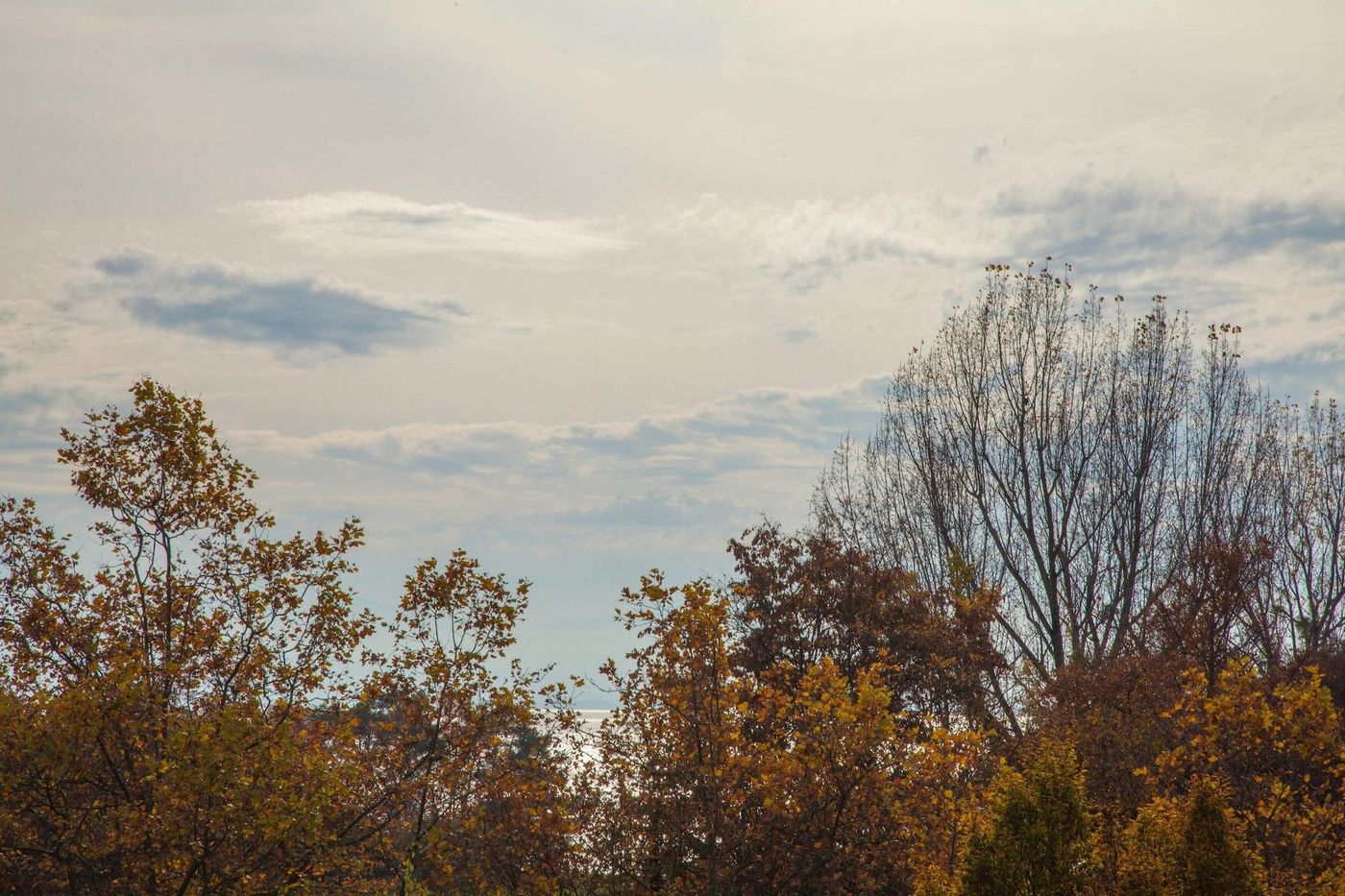 Appart'Hotel 46a-Switzerland-LAUSANNE-General view-9