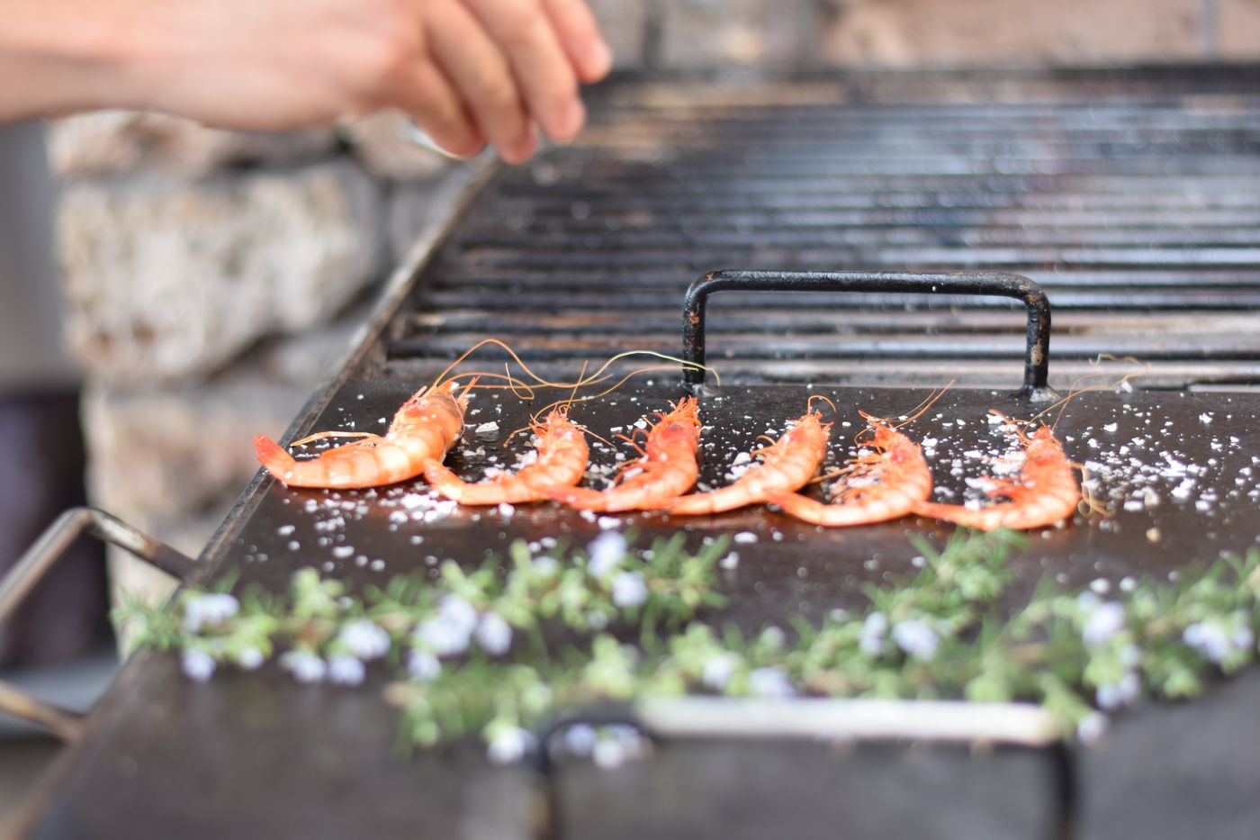 Torralbenc-Restaurant-19