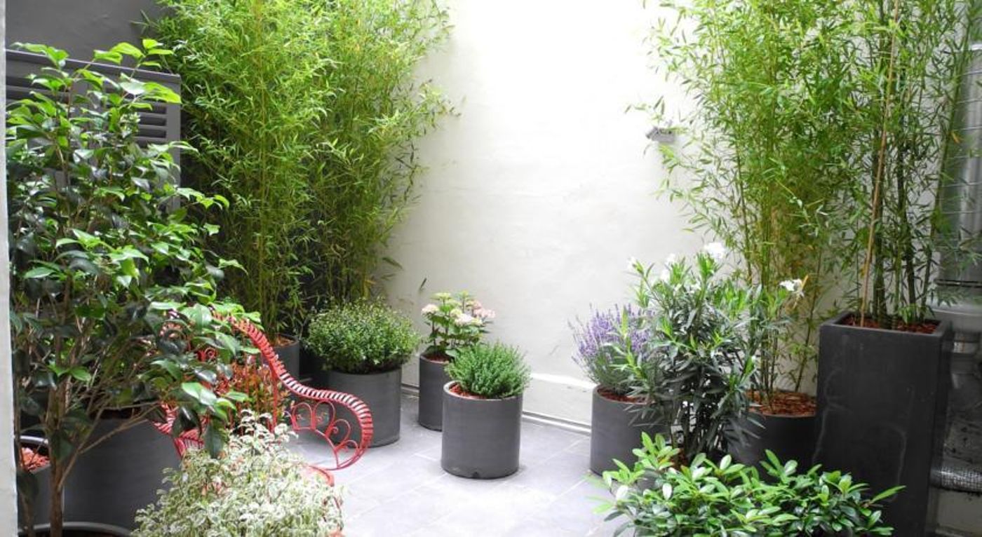 Hotel-Marais-Bastille-Terrace-14