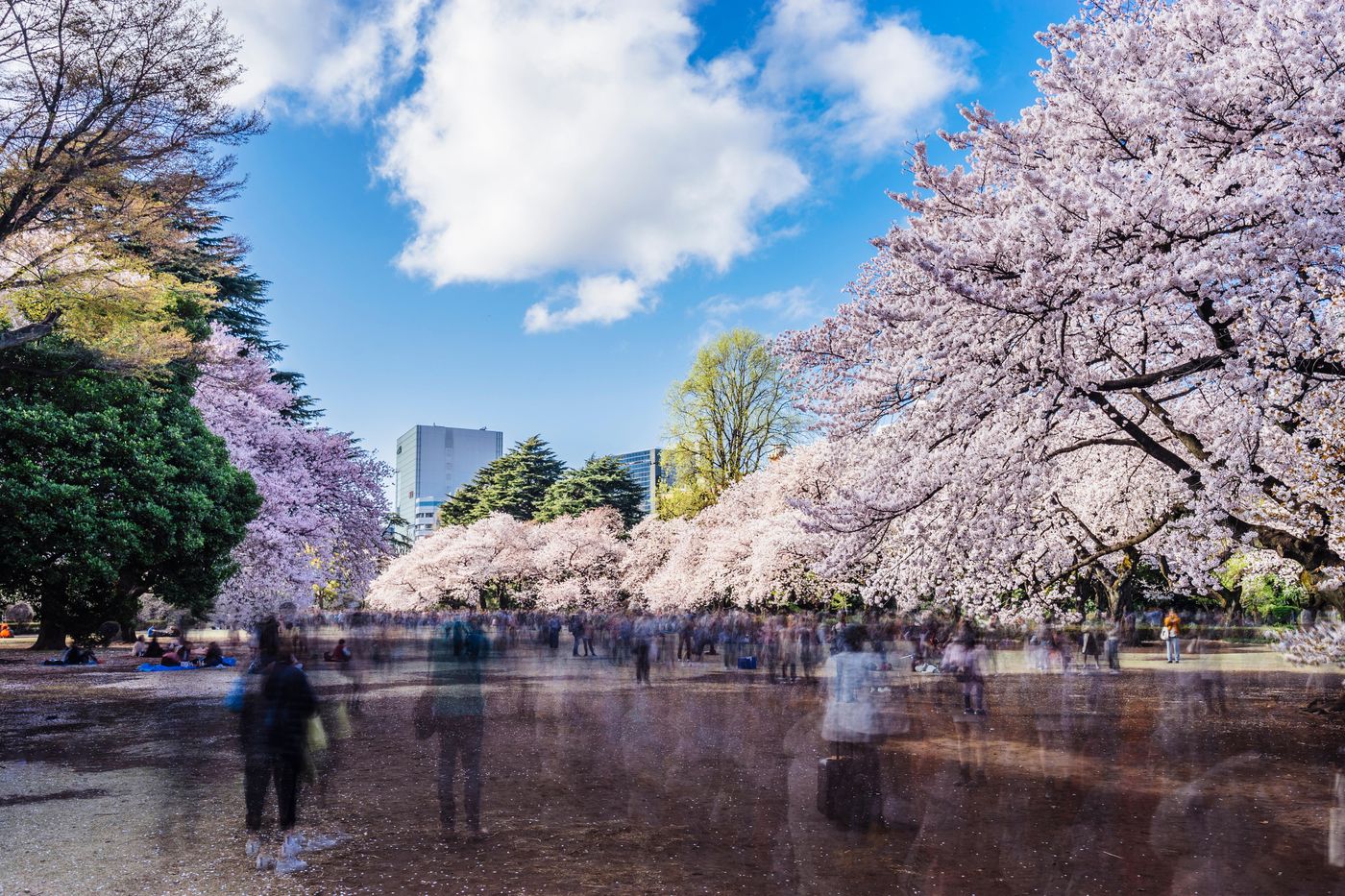 Kimpton Shinjuku Tokyo-Japan-Tokyo-General view-1