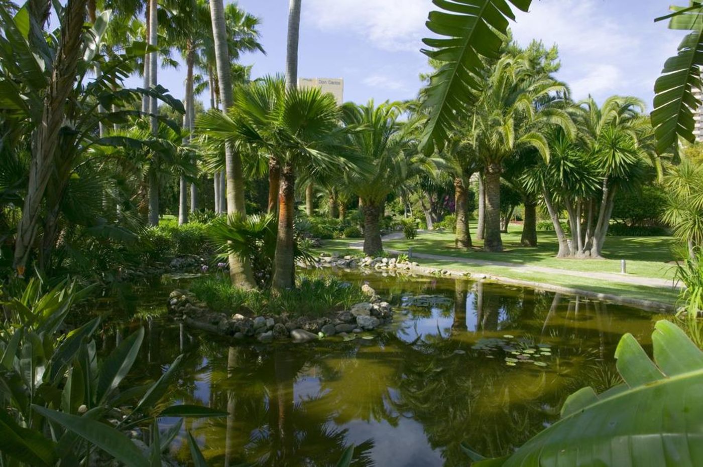 The Oasis by Don Carlos Resort - Adults Only