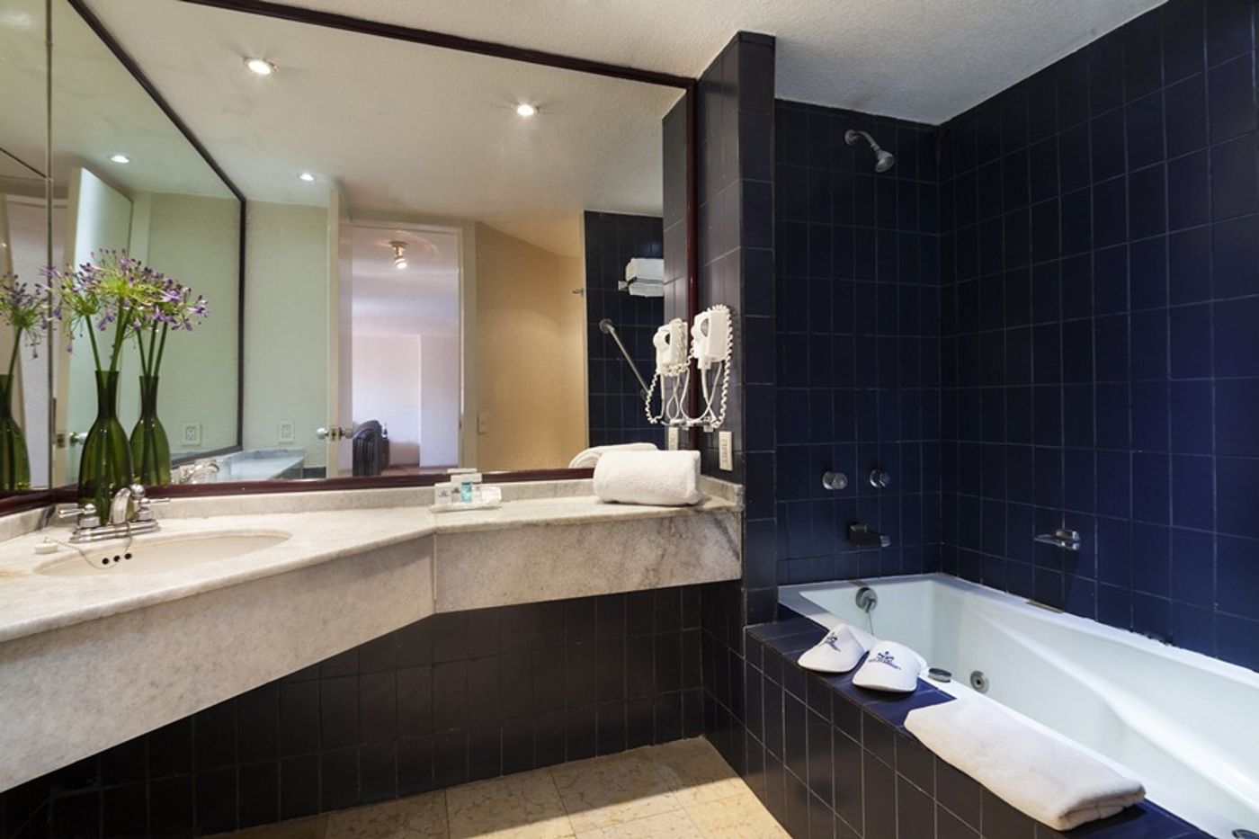 Exe Suites San Marino-Mexico-Ciudad De Mexico-General view-4