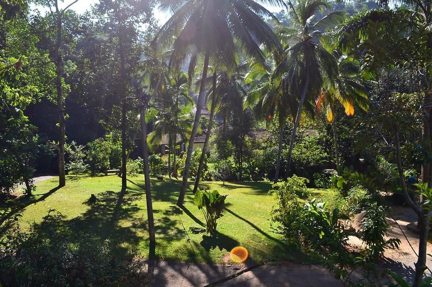 Sweet-Cinnamon-General-view-8