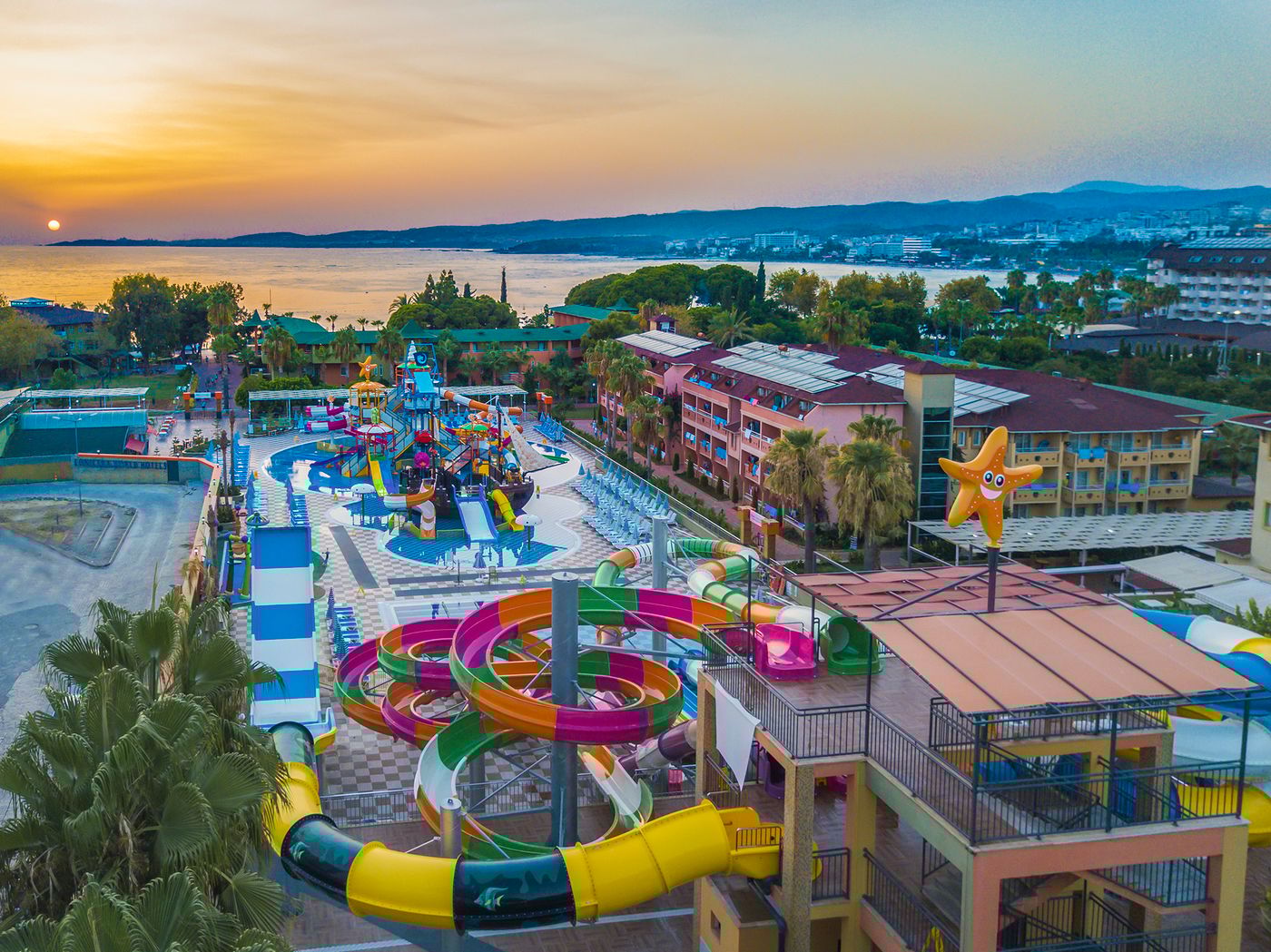 Lonicera--World-Pool-2