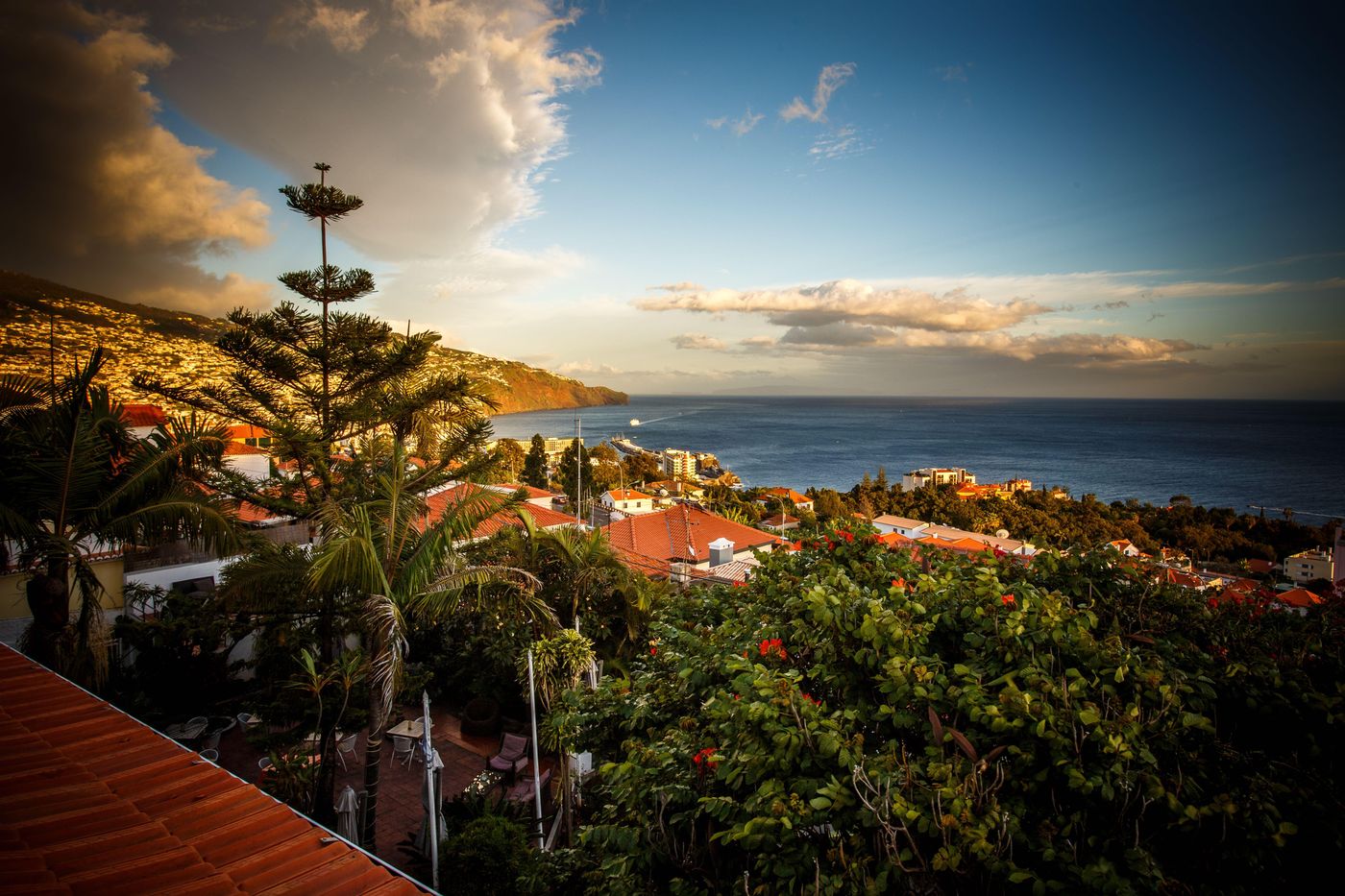 The-Flame-Tree-Madeira-General-view-26