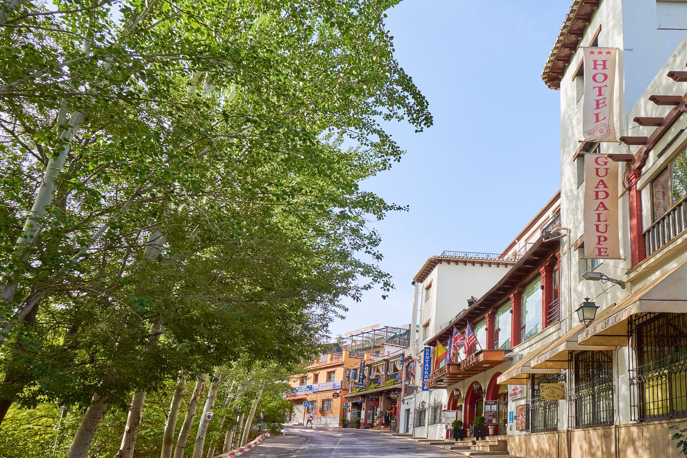 Crisol Guadalupe-Spain-GRANADA-General view-2