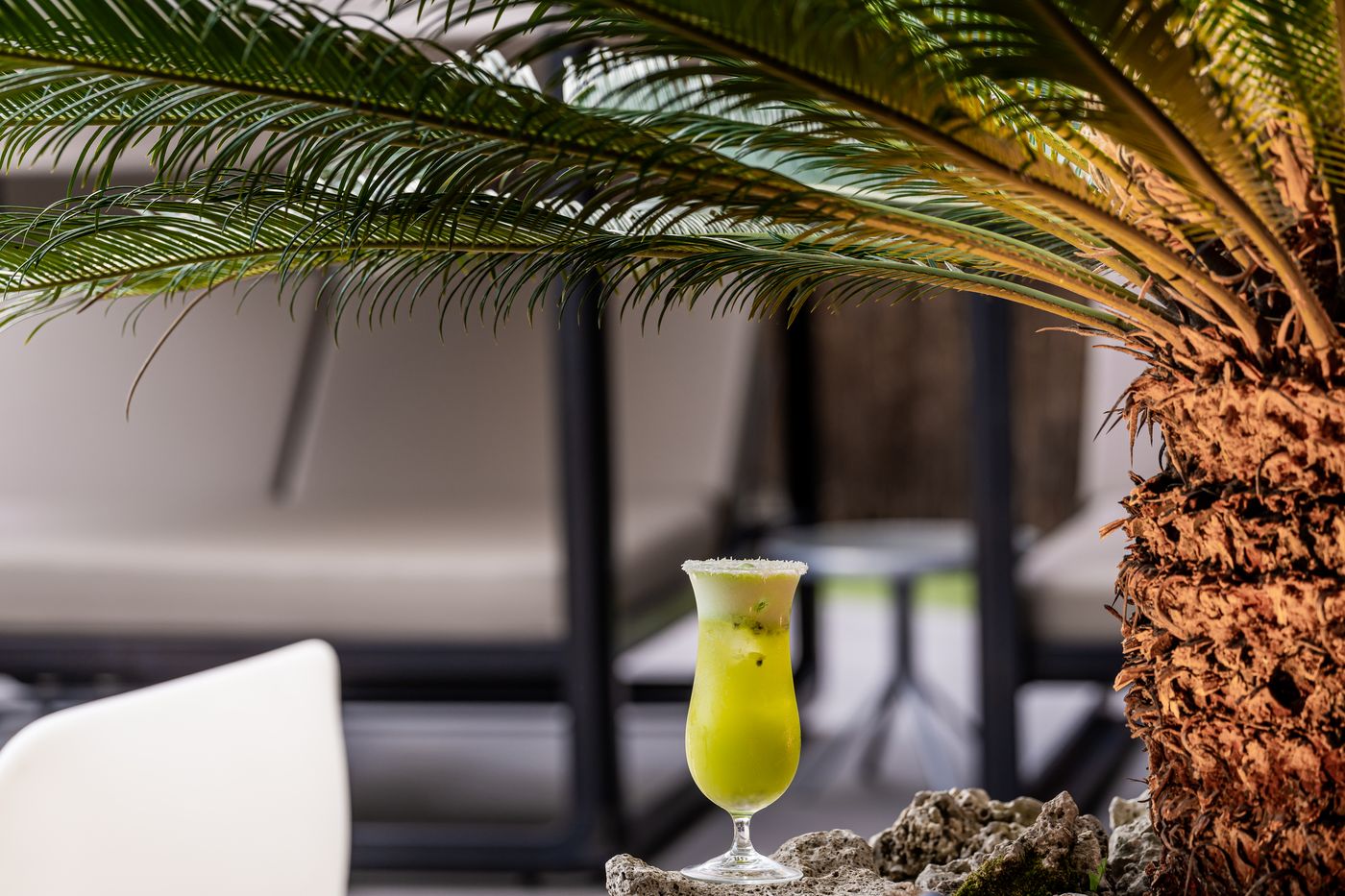 HF Fenix Porto - Portugal - OPORTO - Terrace - 2