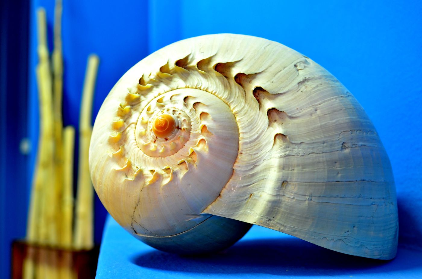 Porto-Antigo-Restaurant-83