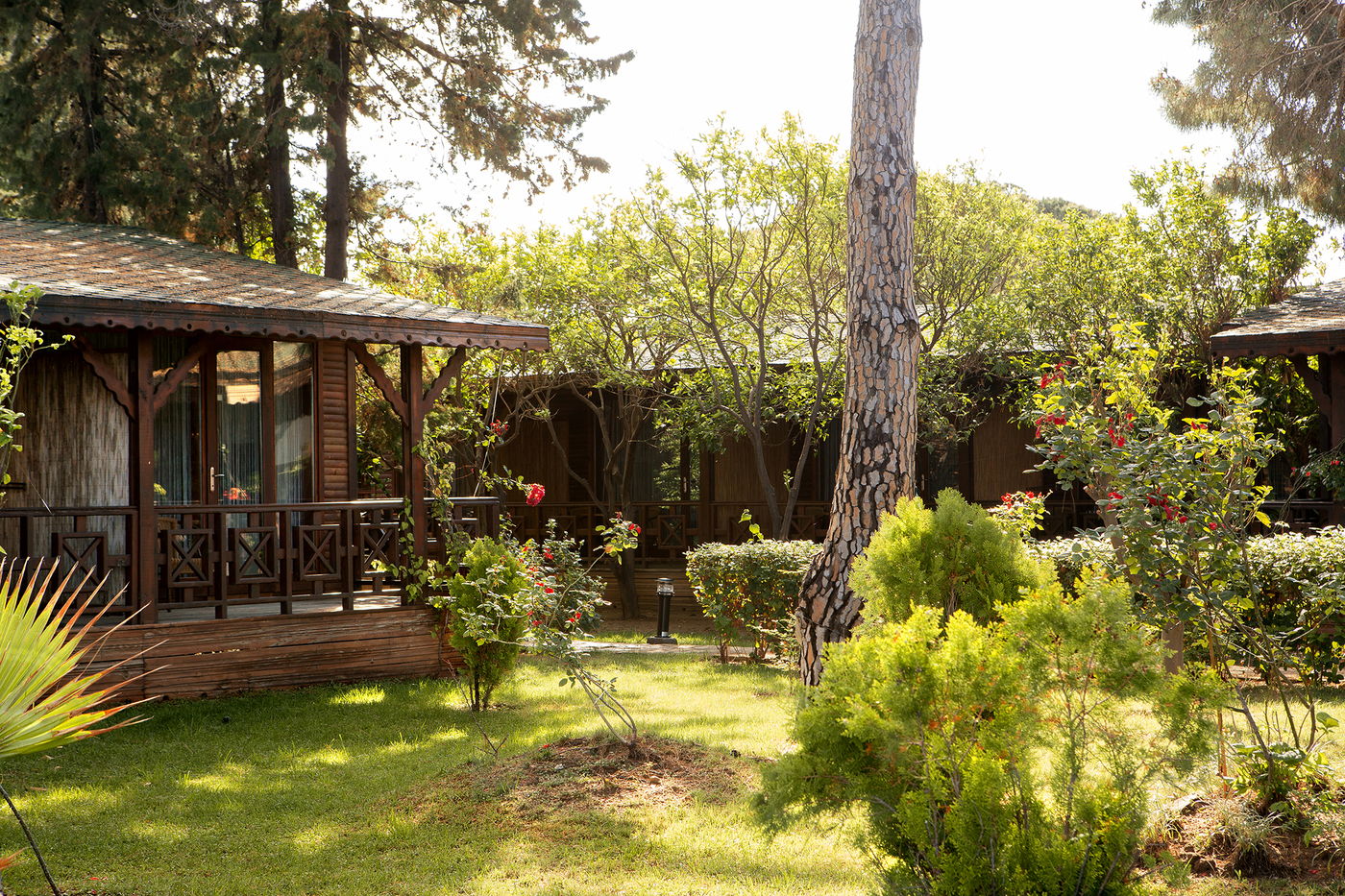 Sentido-Flora-Garden---Adults-Only-General-view-18