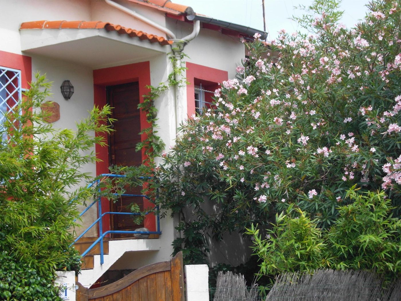 Cielito Lindo - France - MONTPELLIER - General view - 2