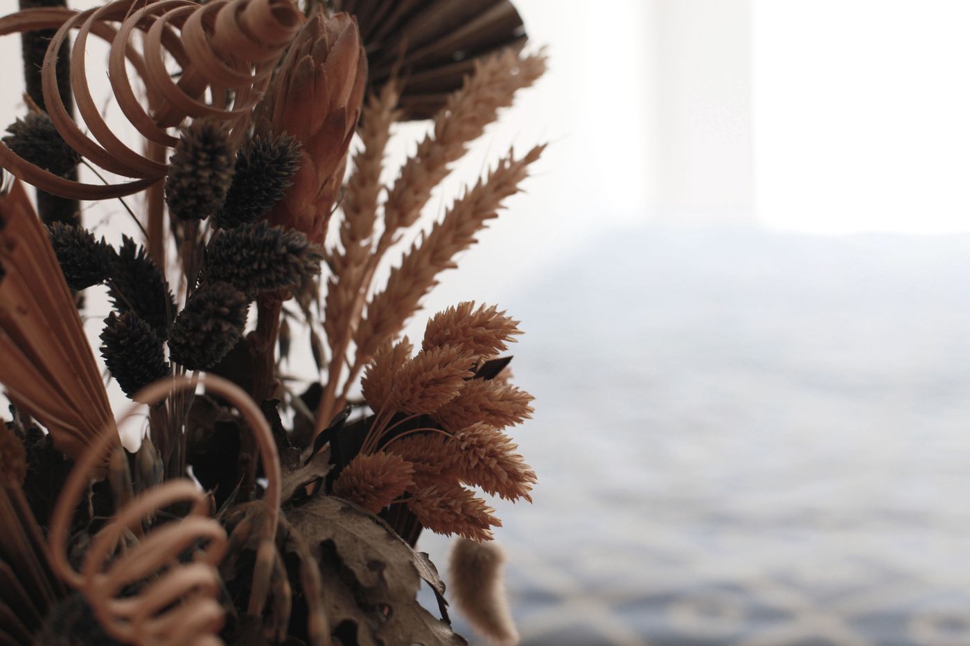 Anastasia-Terrace-29