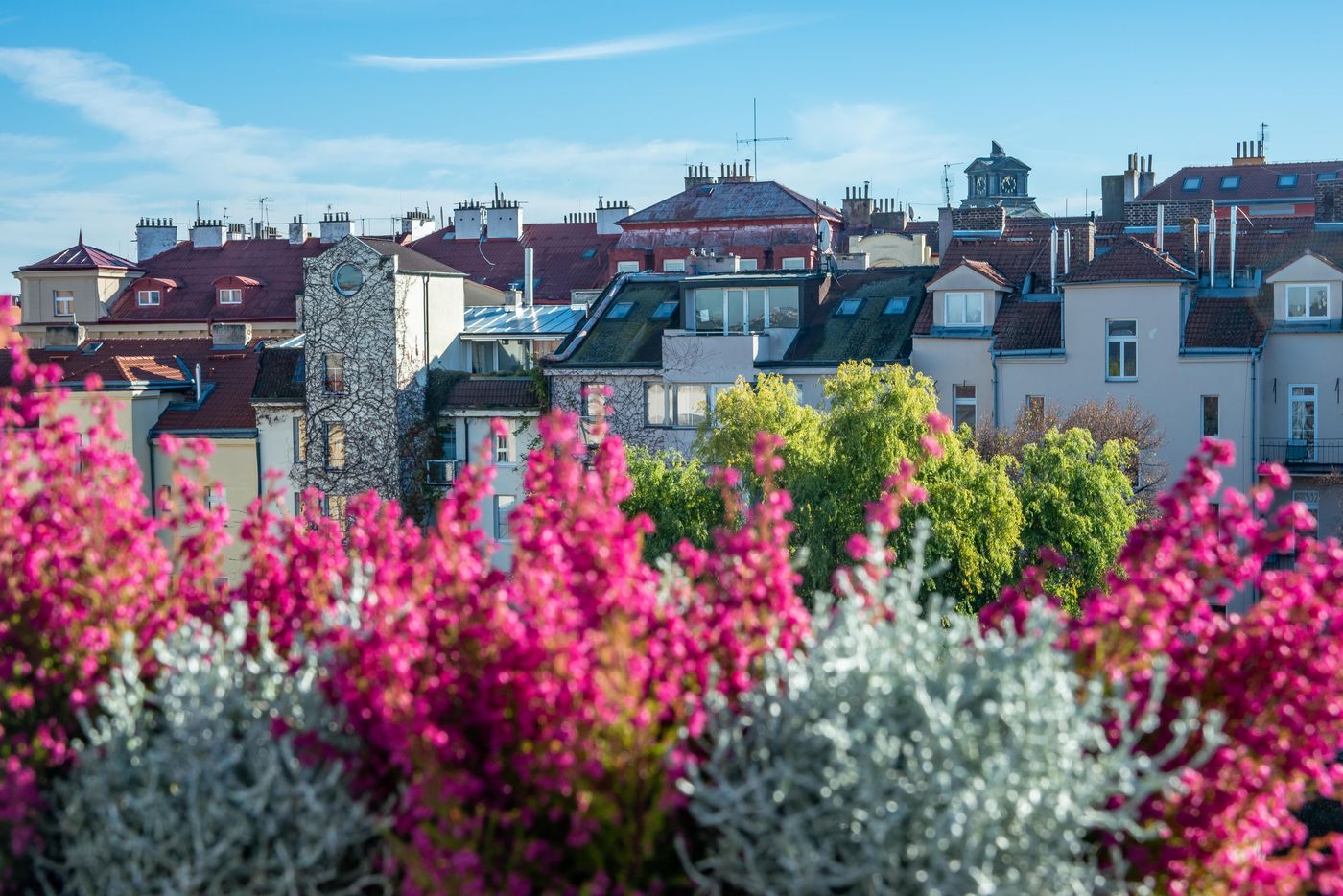 Art Hotel Praha-Czech Republic-PRAGUE-Lobby-1