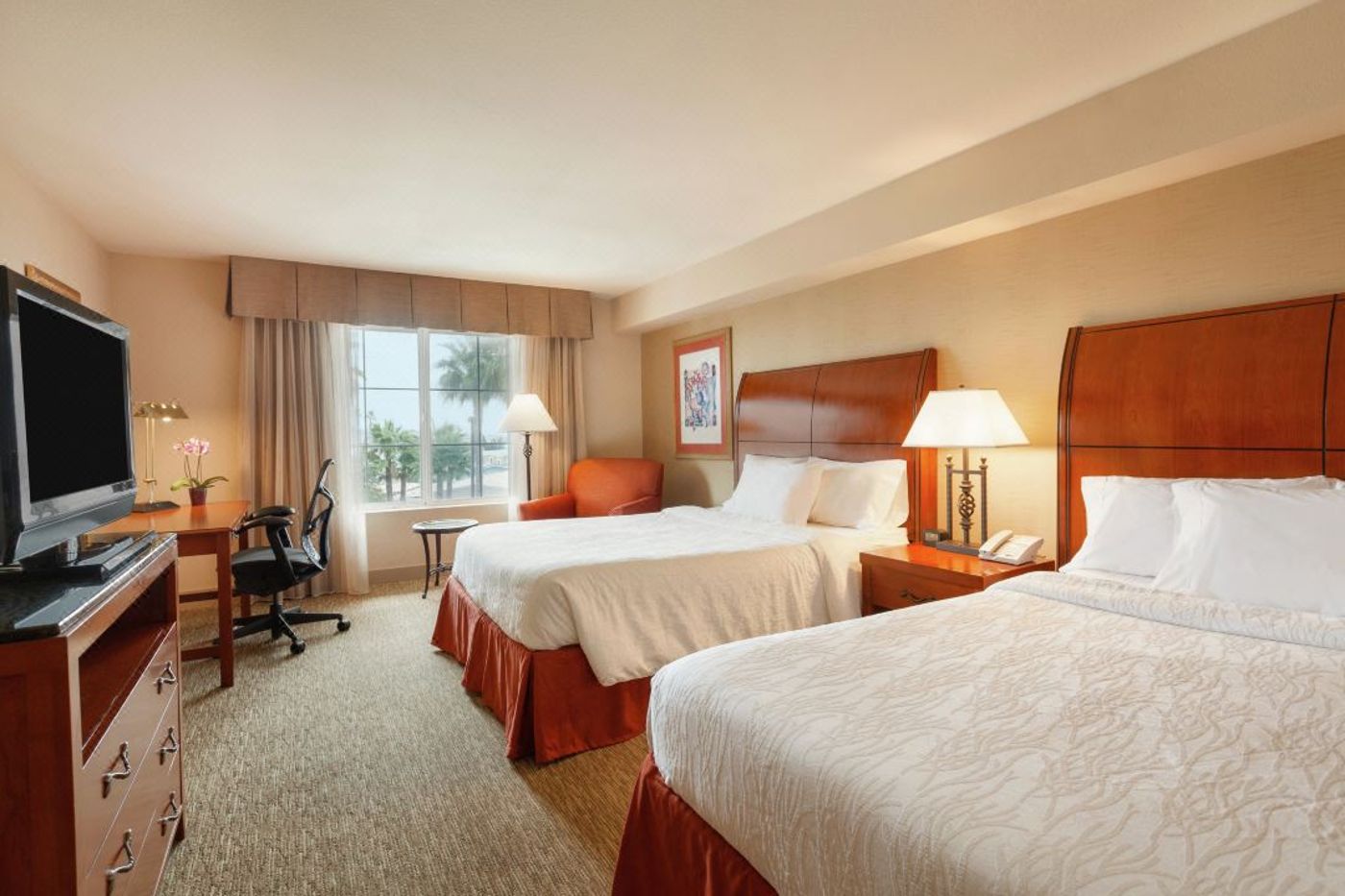 Hilton Garden Inn Carlsbad Beach - United States - CARLSBAD - Room - 3