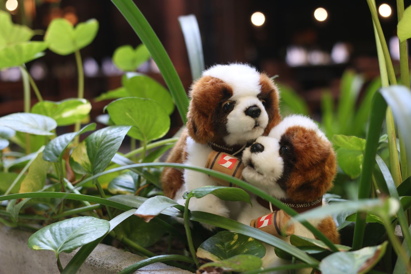 Swiss-Belhotel Rainforest-Indonesia-KUTA-Lobby-3