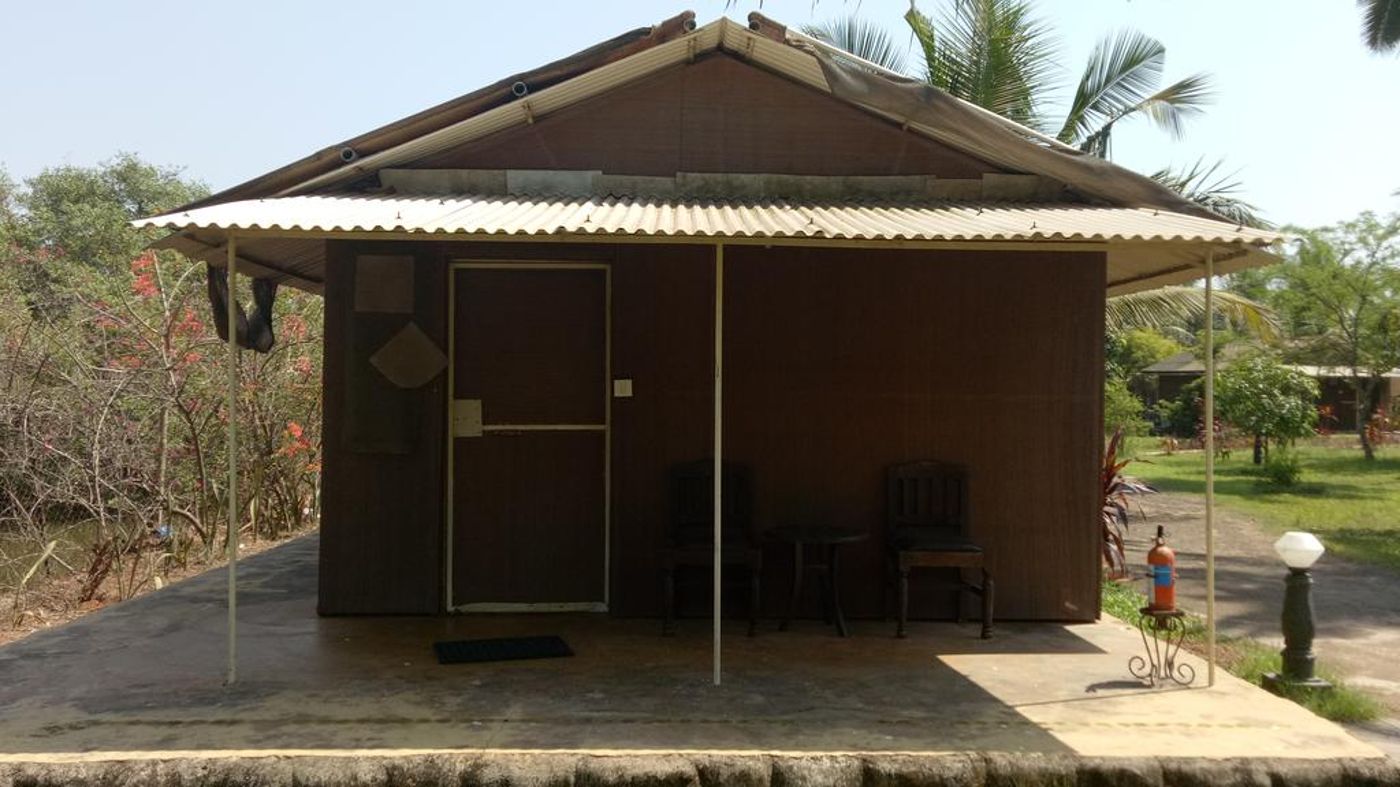 Primo Bom Terra Verde