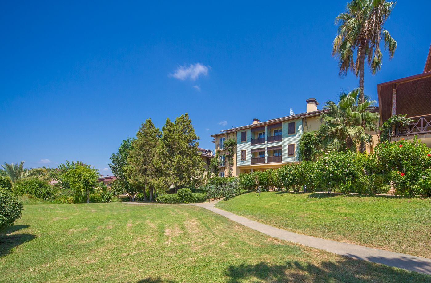 Lonicera--World-General-view-15