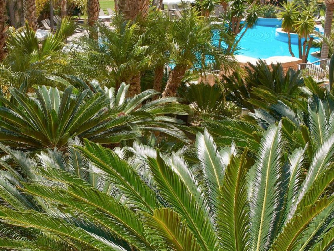 Ria-Park-Hotel---Spa-Room-15