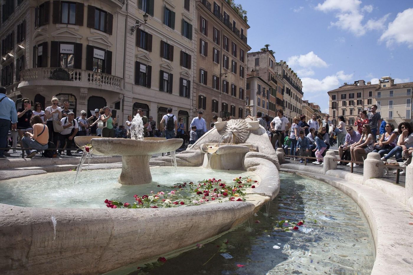 TRIVIHO-Italy-ROME-General view-3