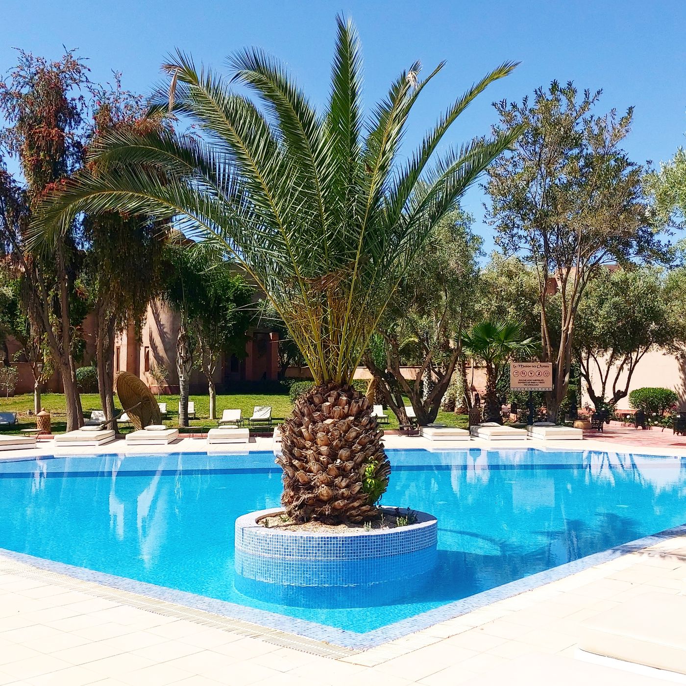 Riad-La-Maison-des-Oliviers-Pool-6