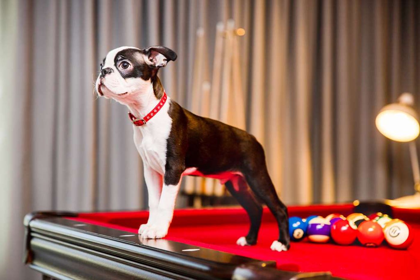 Radisson RED Hotel, Glasgow-United Kingdom-Glasgow-General view-10