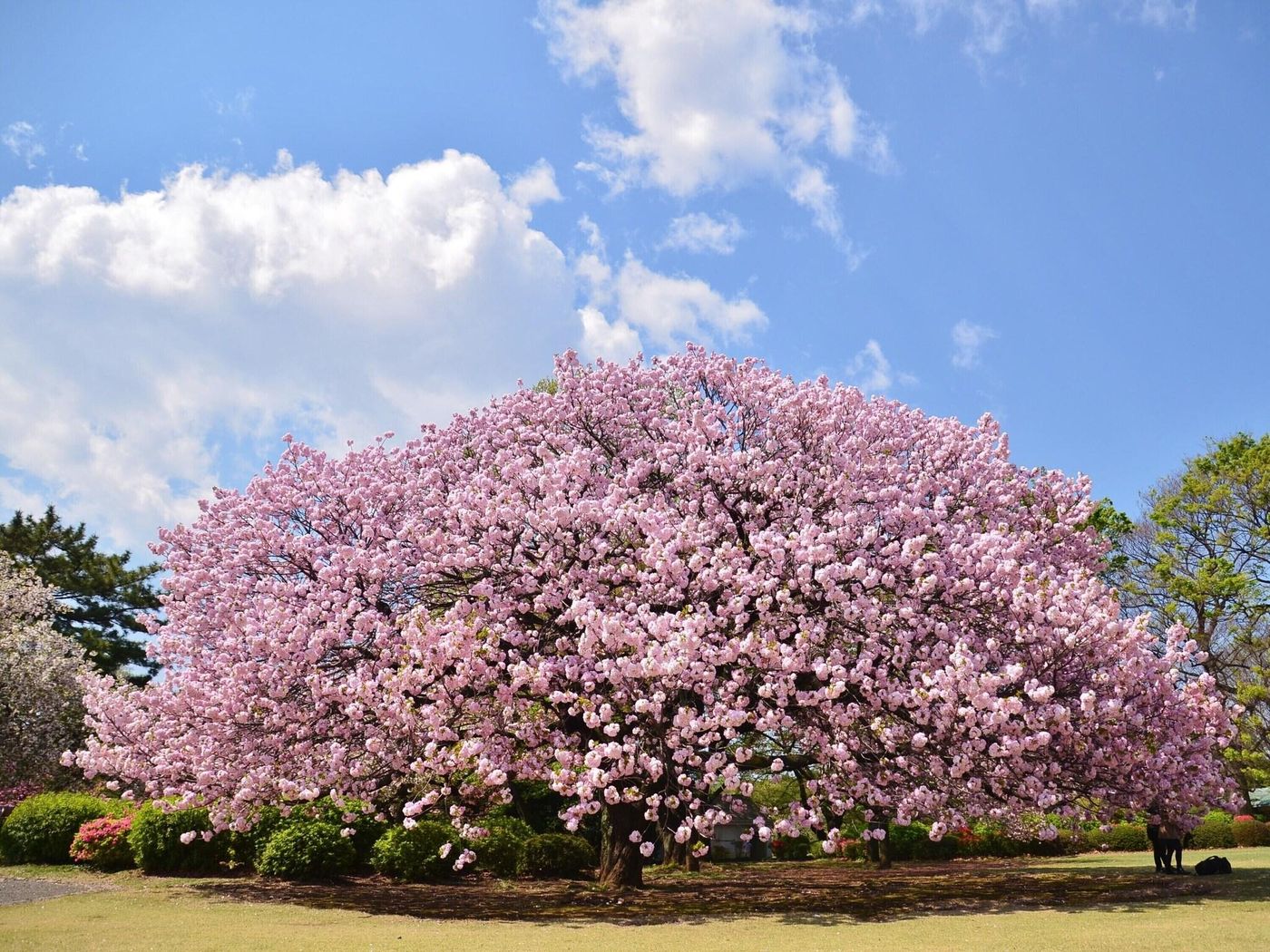 Hotel Resol Ikebukuro-Japan-TOKYO-General view-9