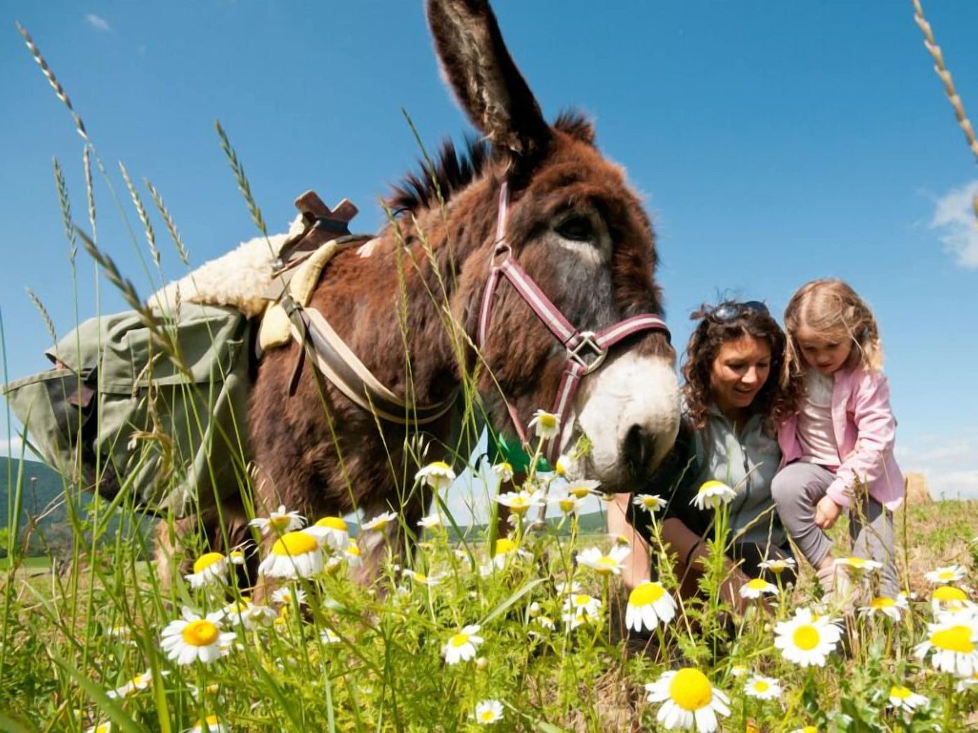 Domaine de Suzel - France - Vignieu - Sports and Entertainment - 1