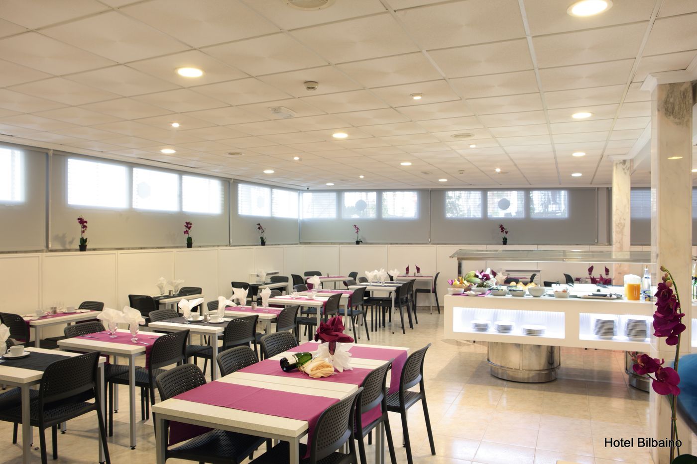 Bilbaino-Restaurant-9