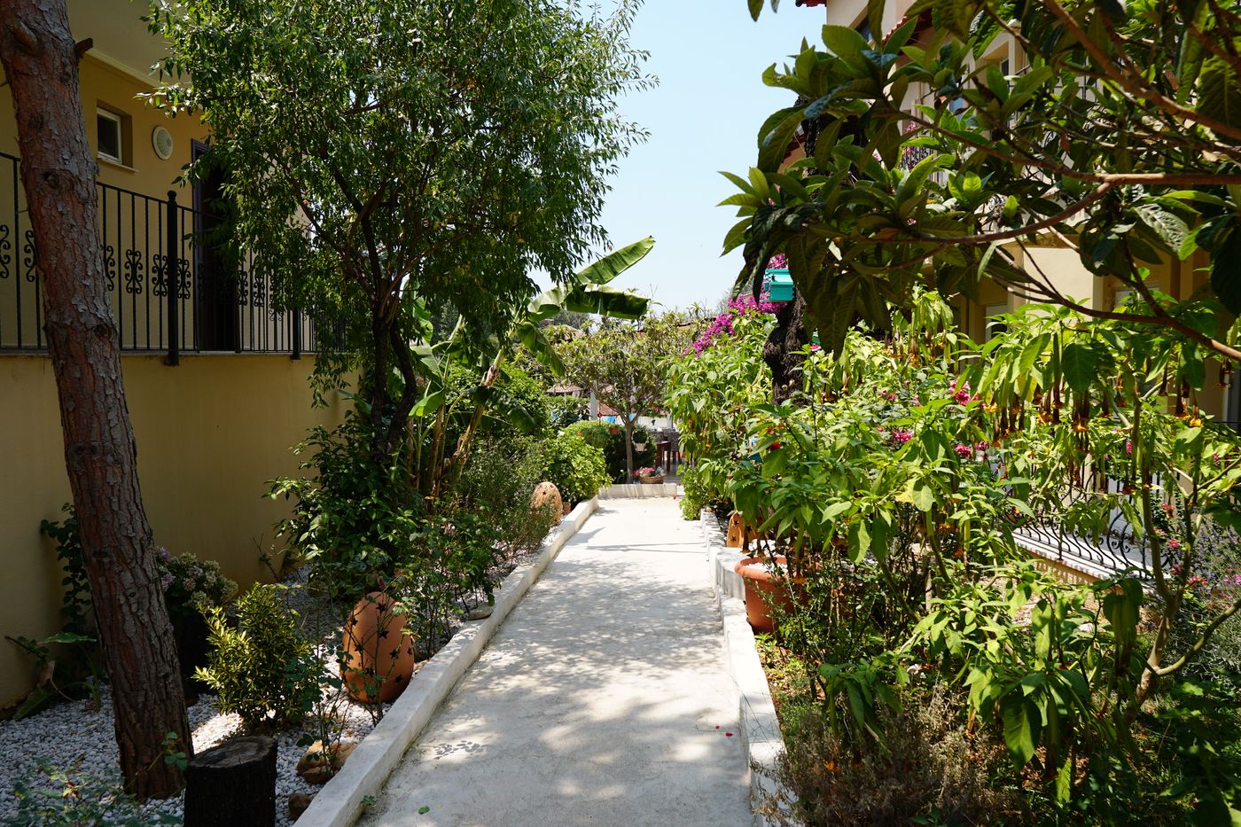 Tunacan-General-view-12