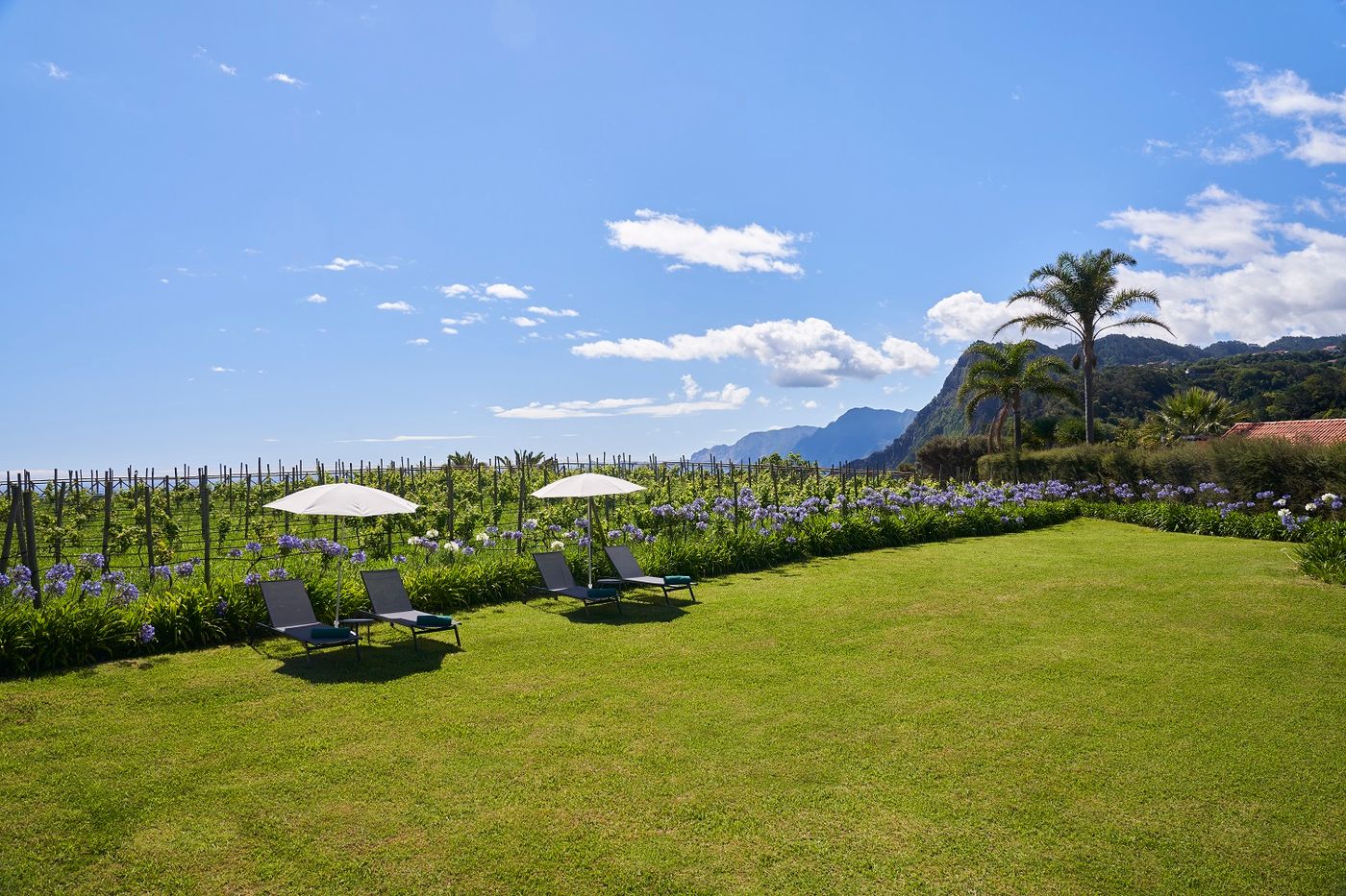 Quinta-do-Furao-General-view-7