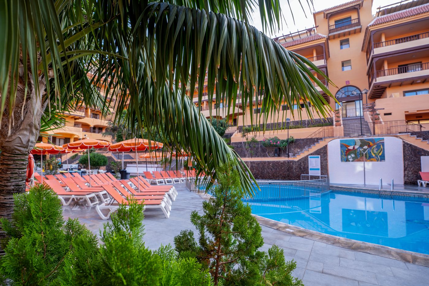 Coral-Los-Alisios-Pool-4