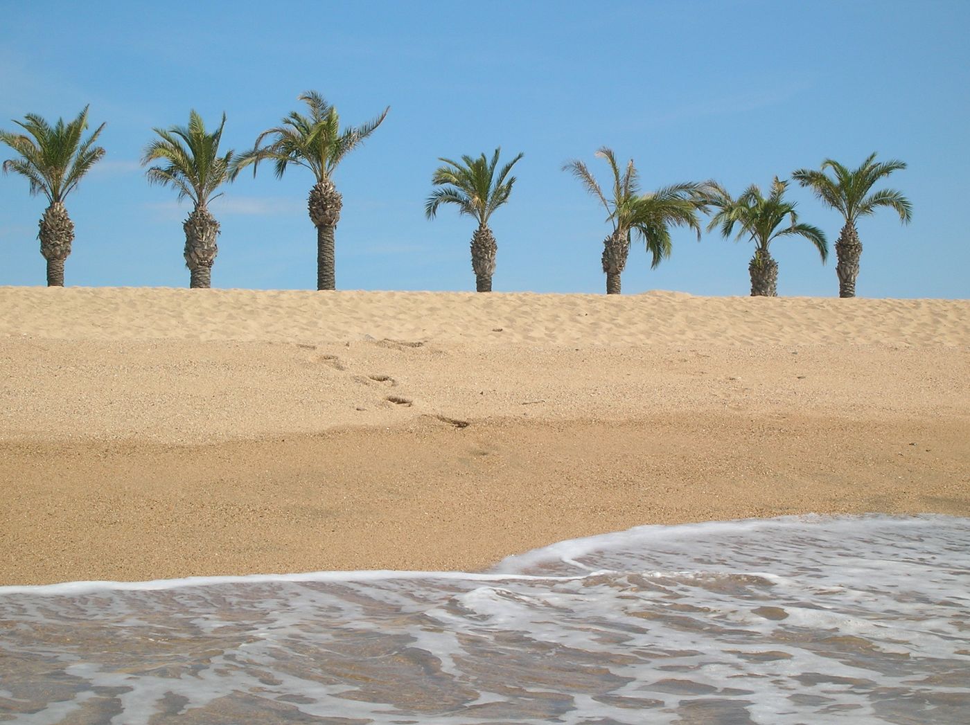 Florida-Park-Beach-91