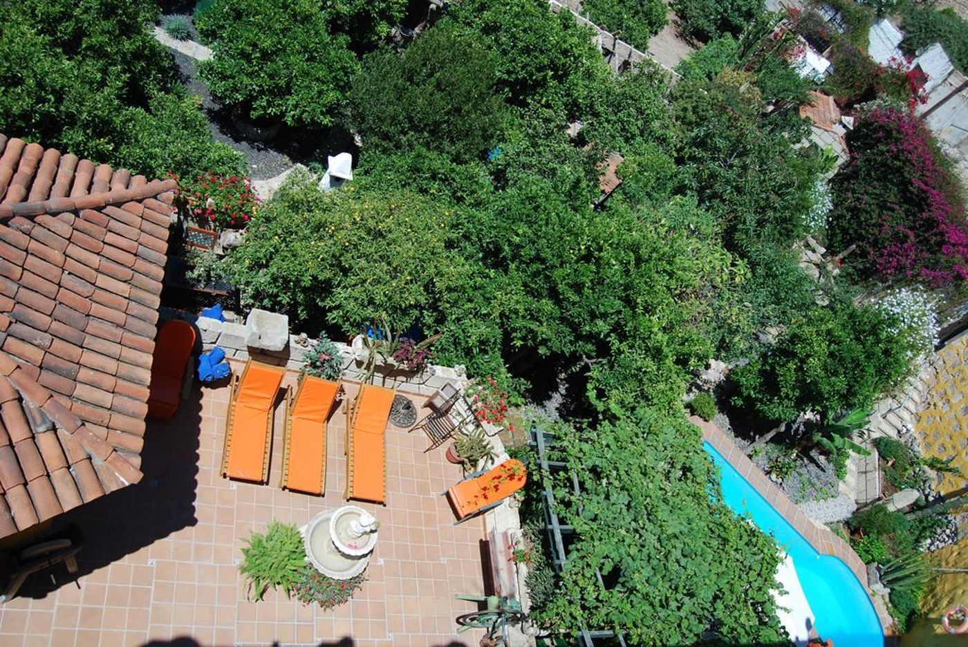 Senderos-de-Abona-General-view-1